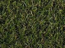 Искусственная трава Condor Apollo 1811 18 фото 1 | FLOORDEALER